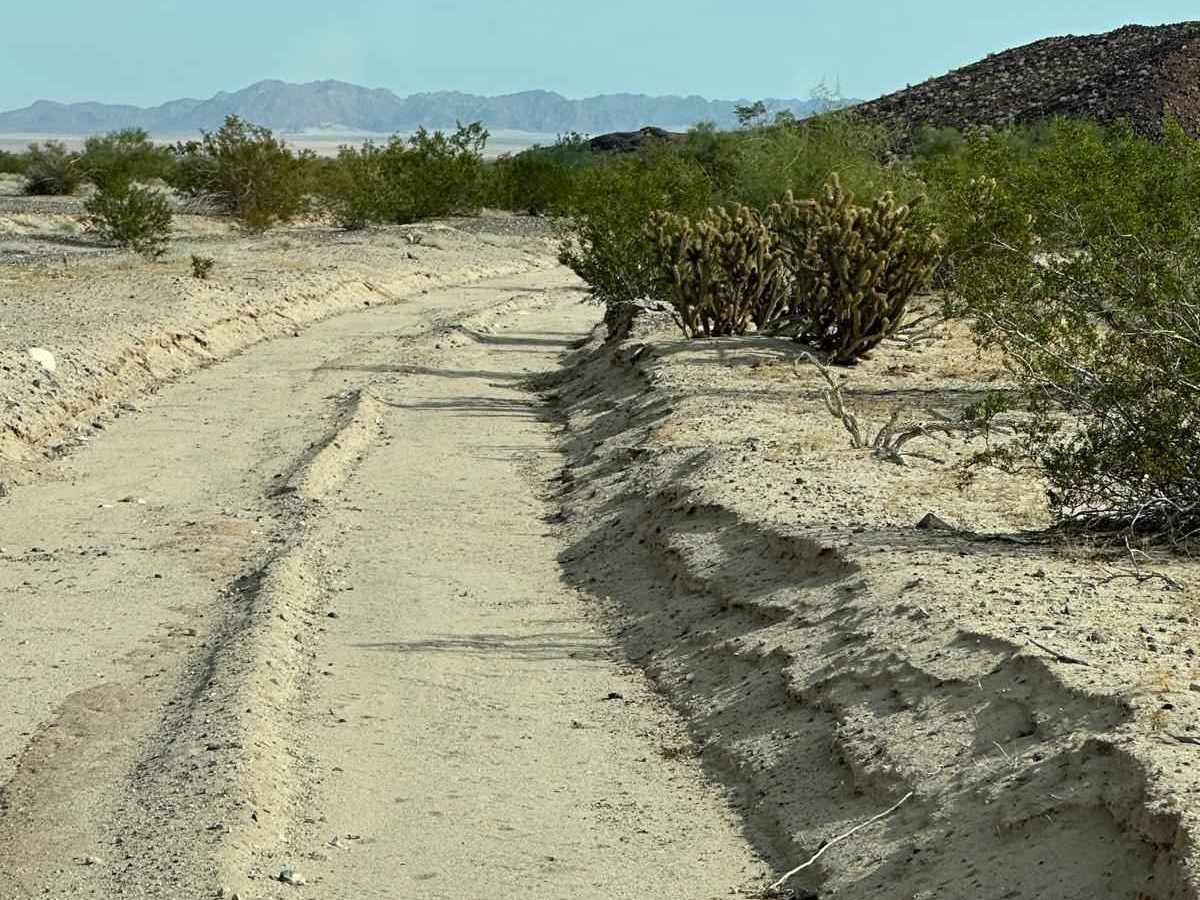 Salt Flats Trail photo 5