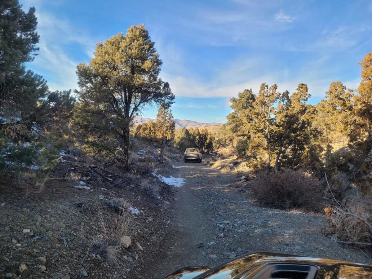 Wellington Hills Road - 42778 trail photo
