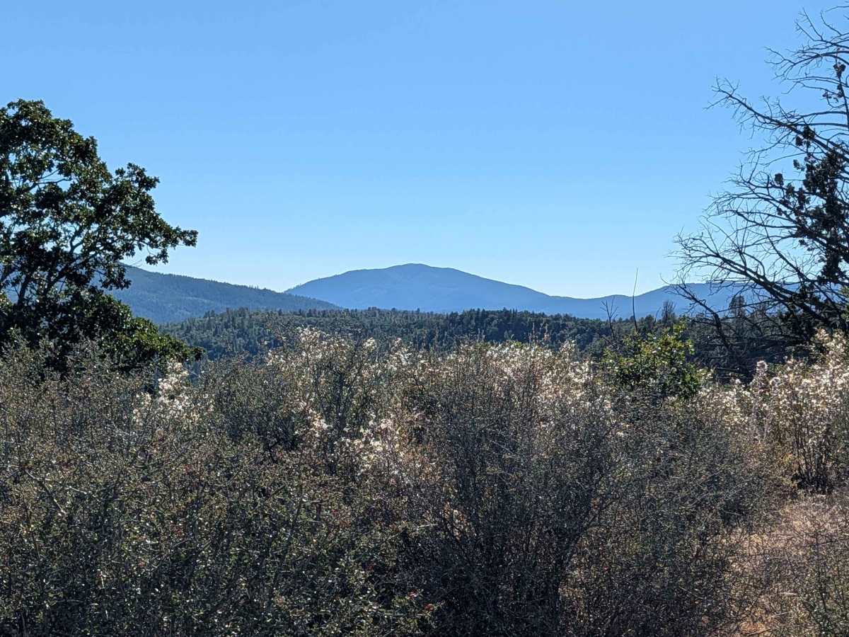 Pit Canyon Flat - FS 37N57Y photo 5