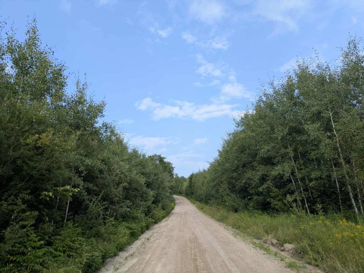 Sheep Ranch Road photo 2