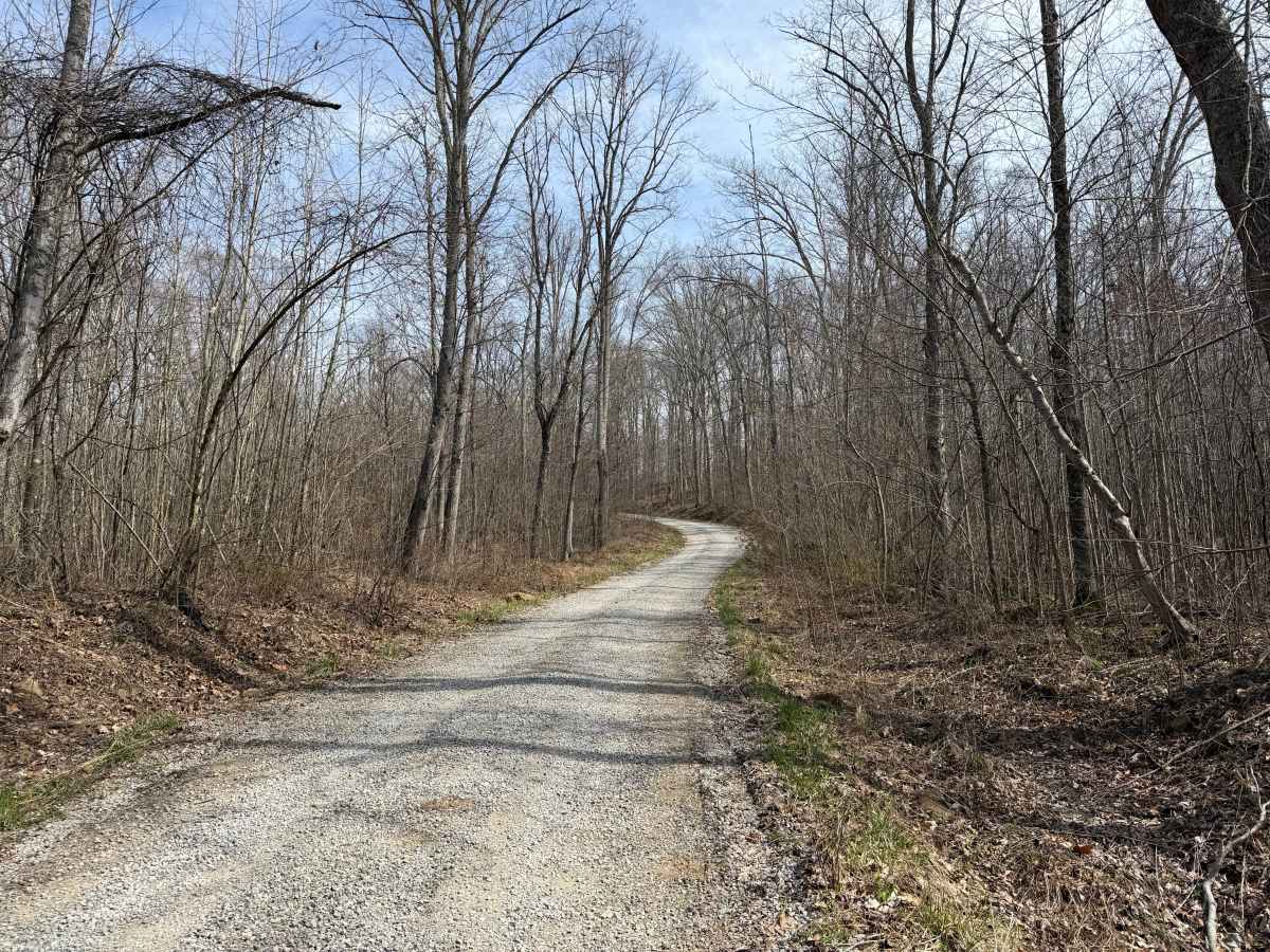 Turkey Run Road photo 5