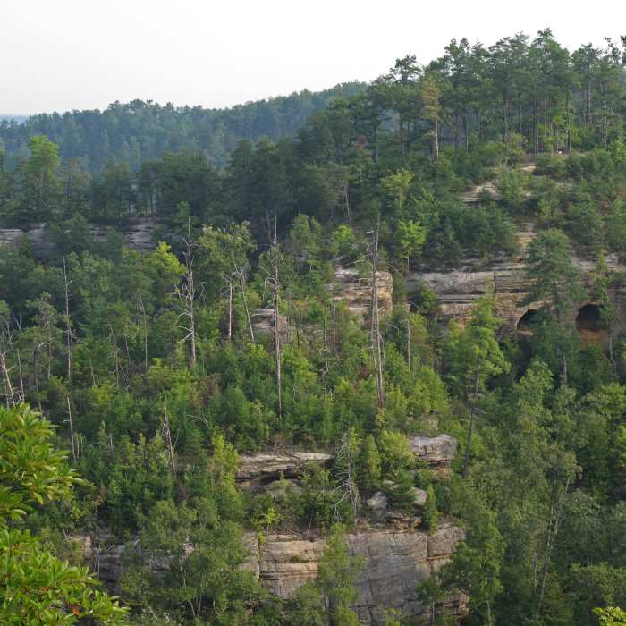 Across the gorge. Near Pinch-Em Tight Ridge Loop