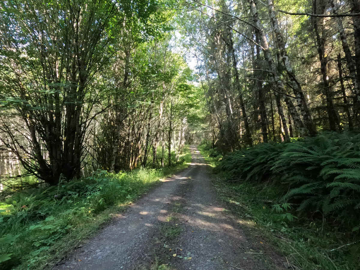 Easy Livin' Road photo 6