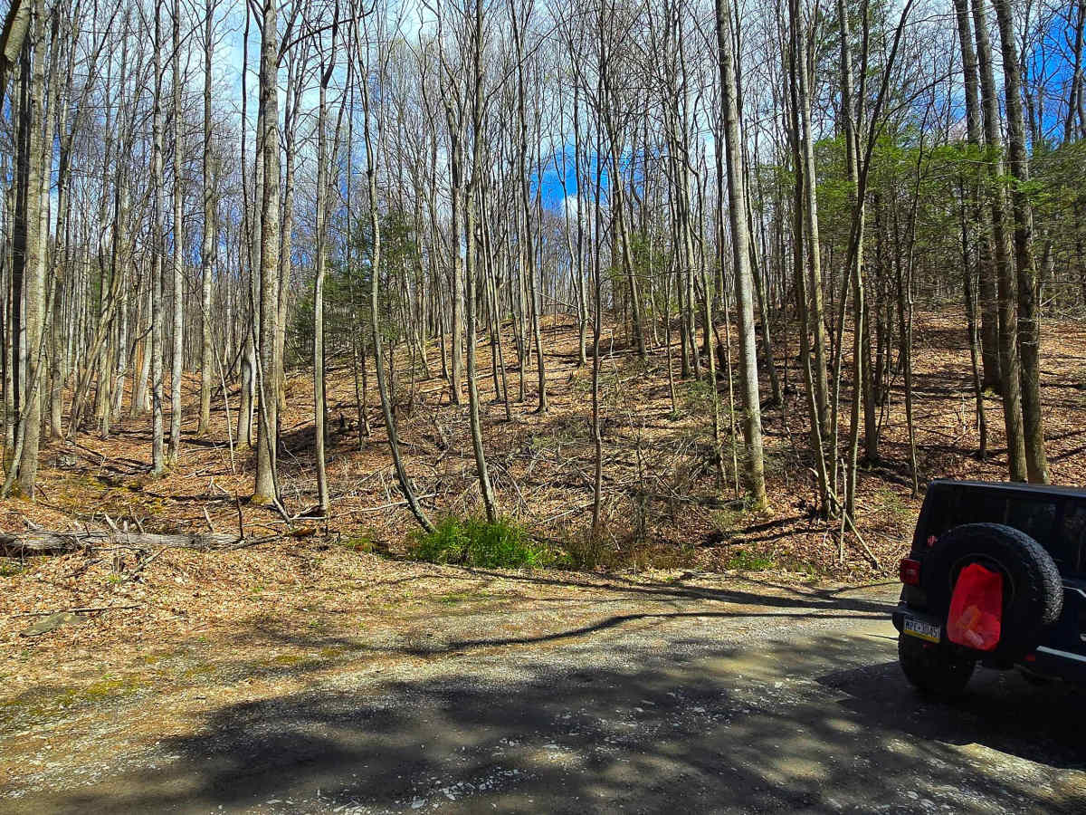 Wirt Road photo 4