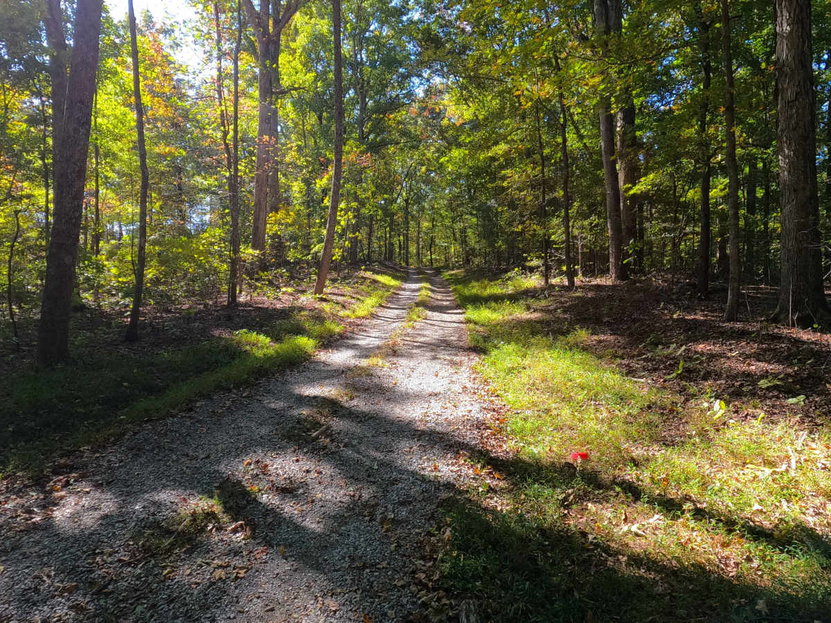 Spring Road - FS 155 trail photo