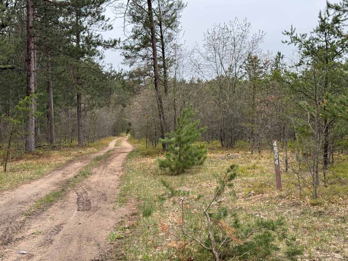 FS4504 trail photo