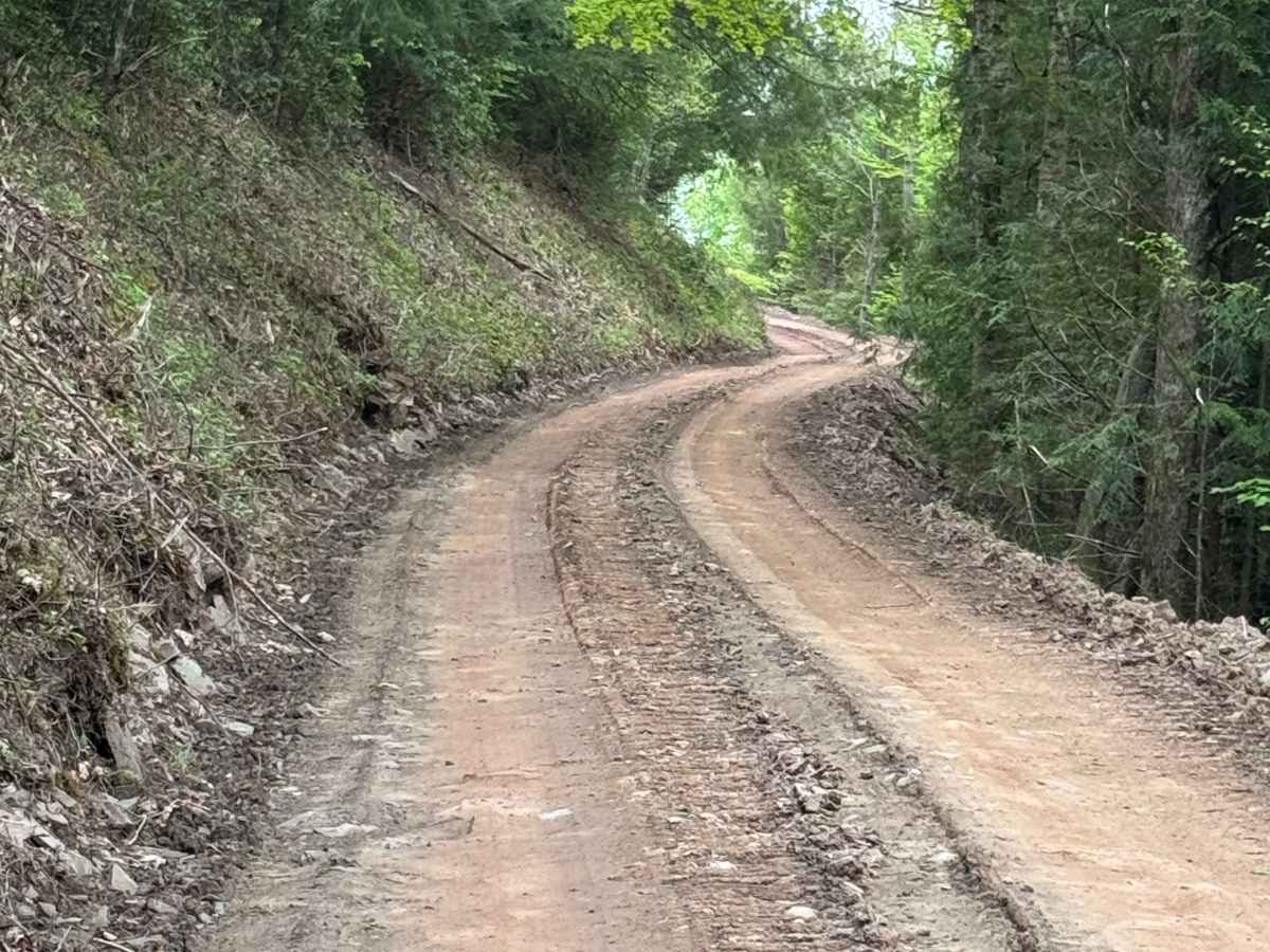 Wildcat Trail photo 3