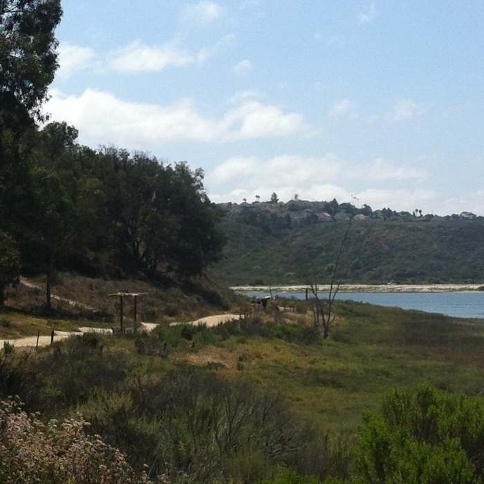 Near Batiquitos Lagoon Trail