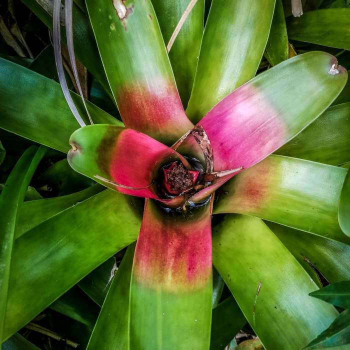 Near Harold L. Lyon Arboretum Near Harold L. Lyon Arboretum