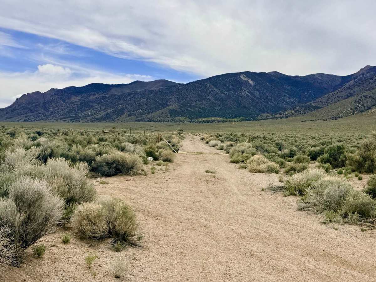 Broad Canyon - FS 44212 photo 6