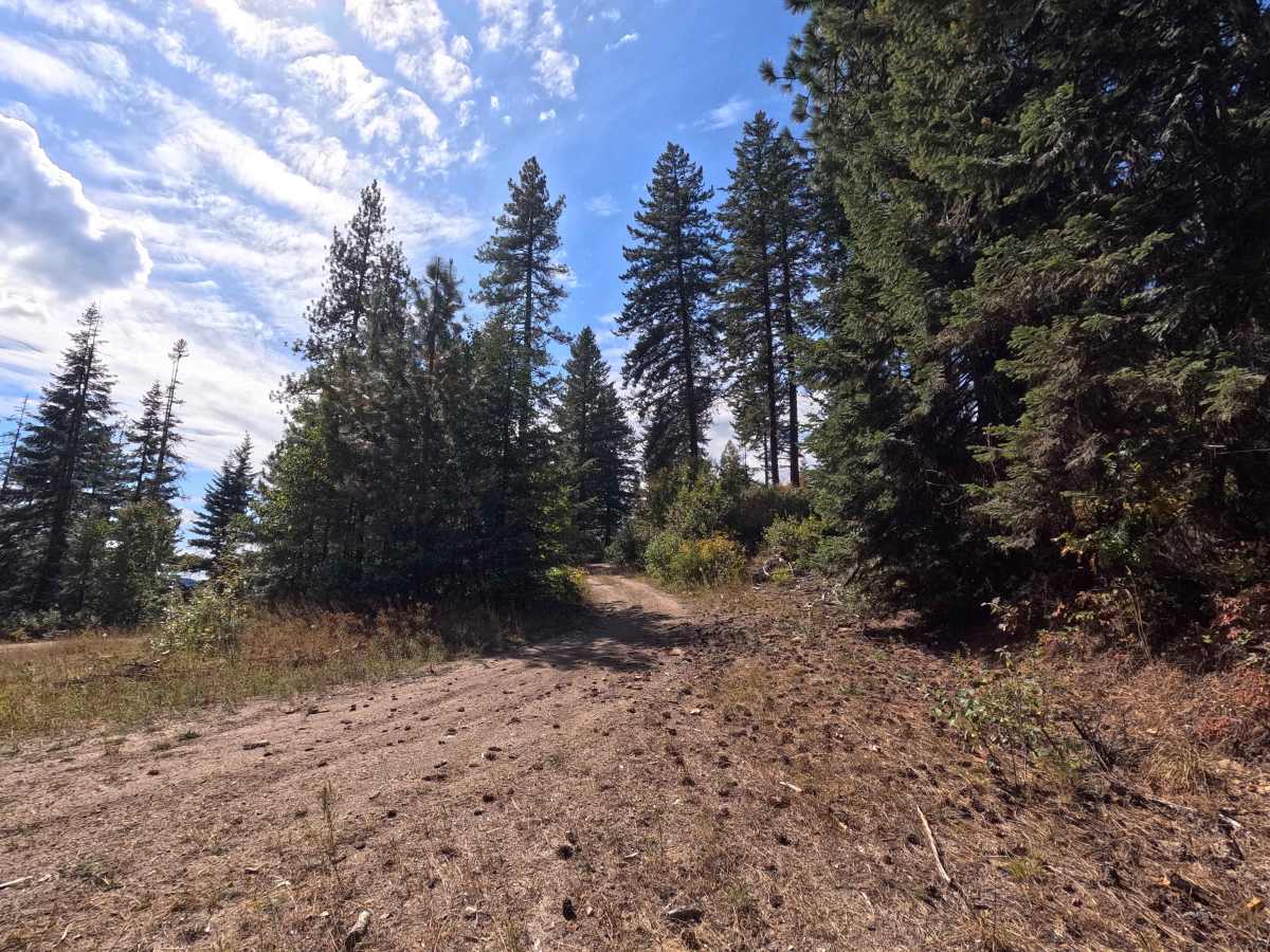 Uranium - FS 336 trail photo