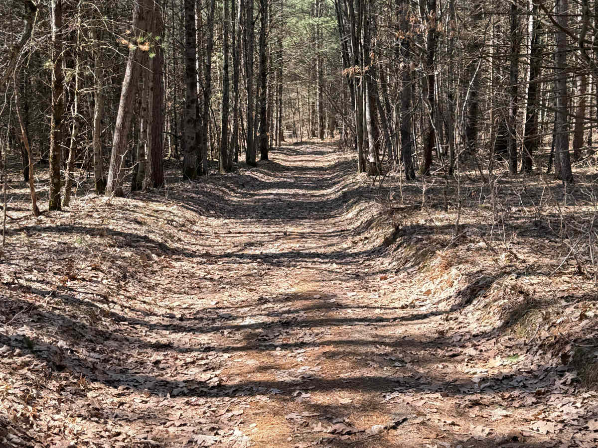 FS 8758 trail photo