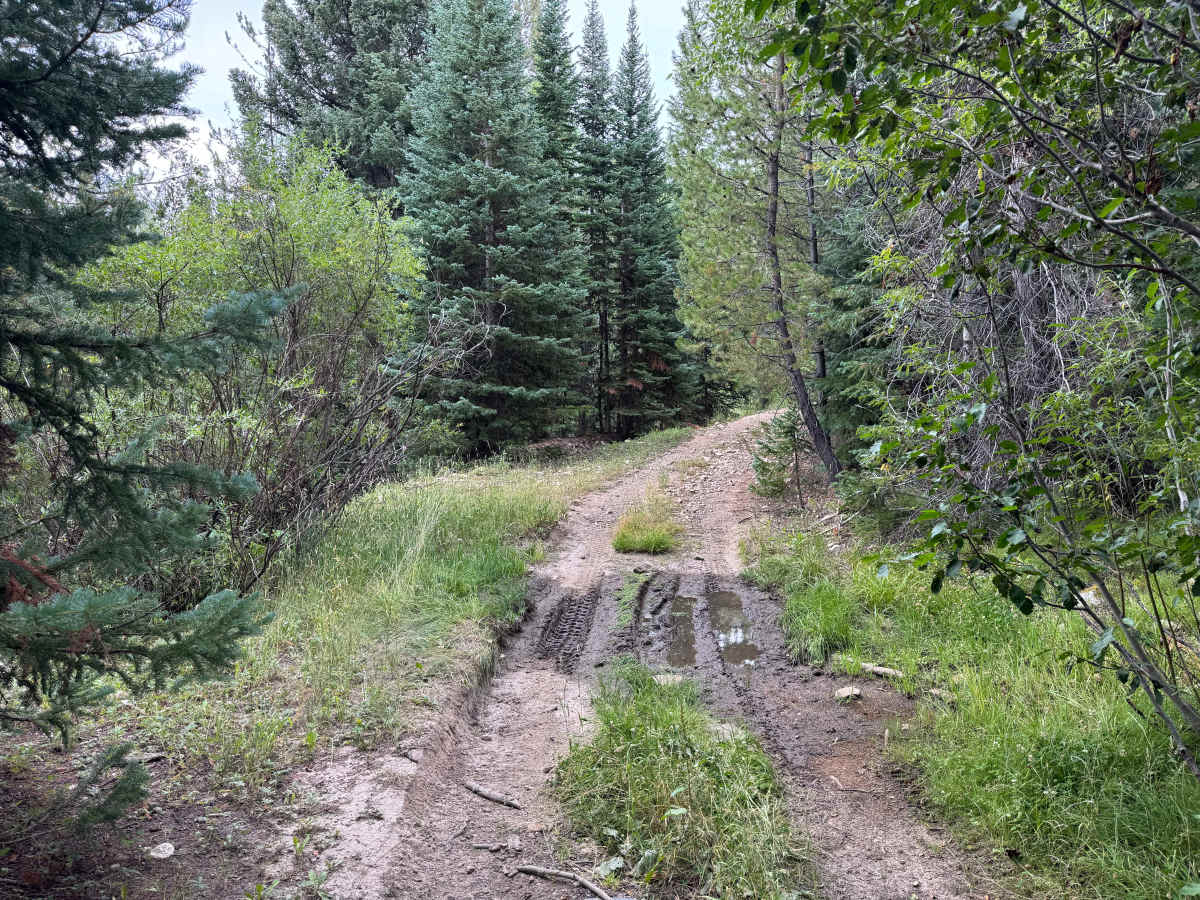 Little Mountain Road photo 4