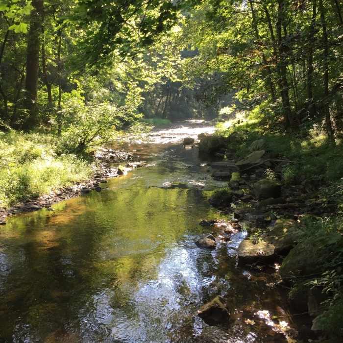 The view from the bridge at the end of the trail. Near Triple Entente: Edwin Leid Trail to PennDel Trail to Vaughn's Trail
