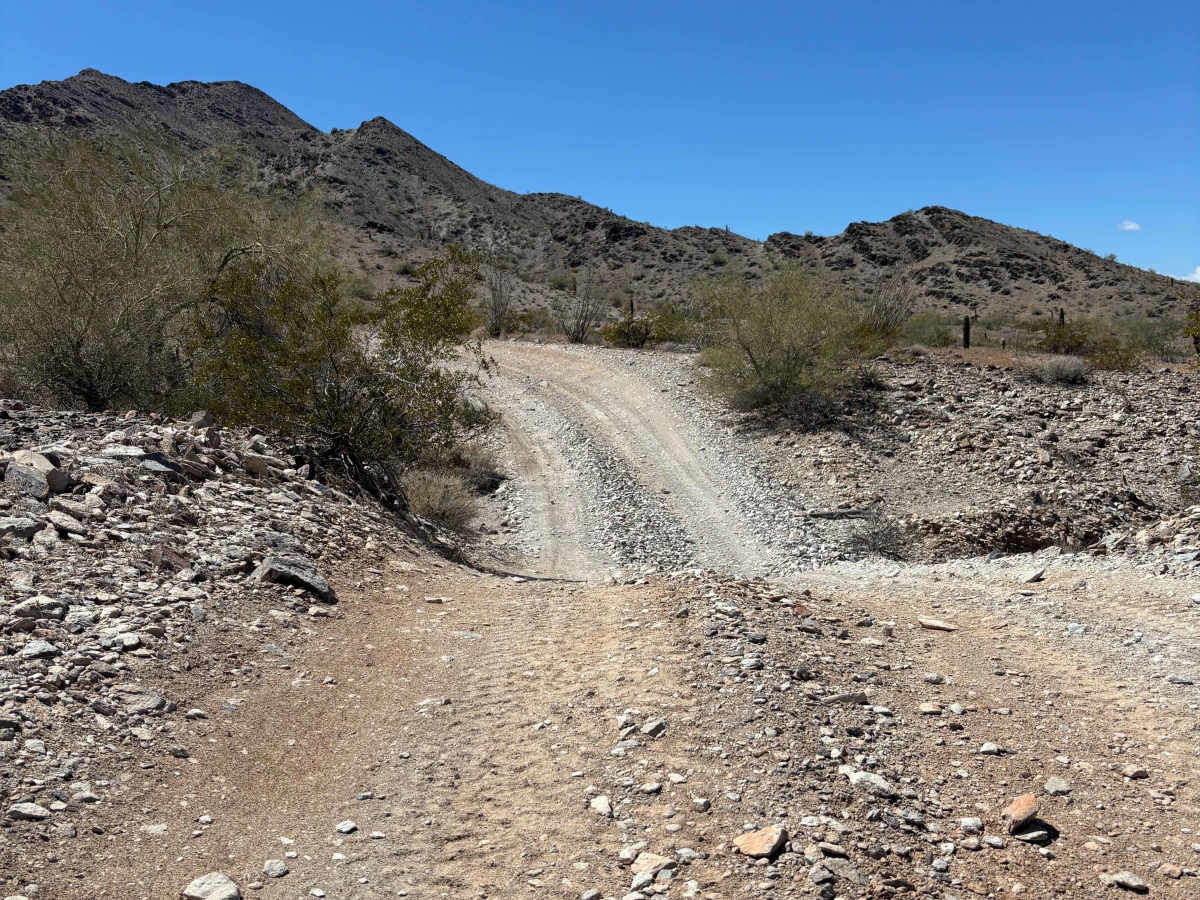 BLM 0133 photo 4