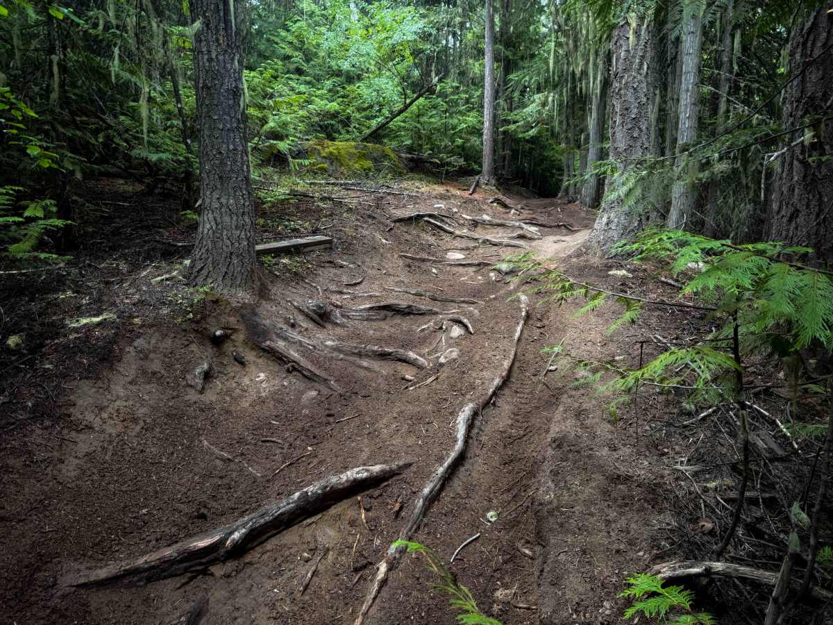 Clark Creek photo 3