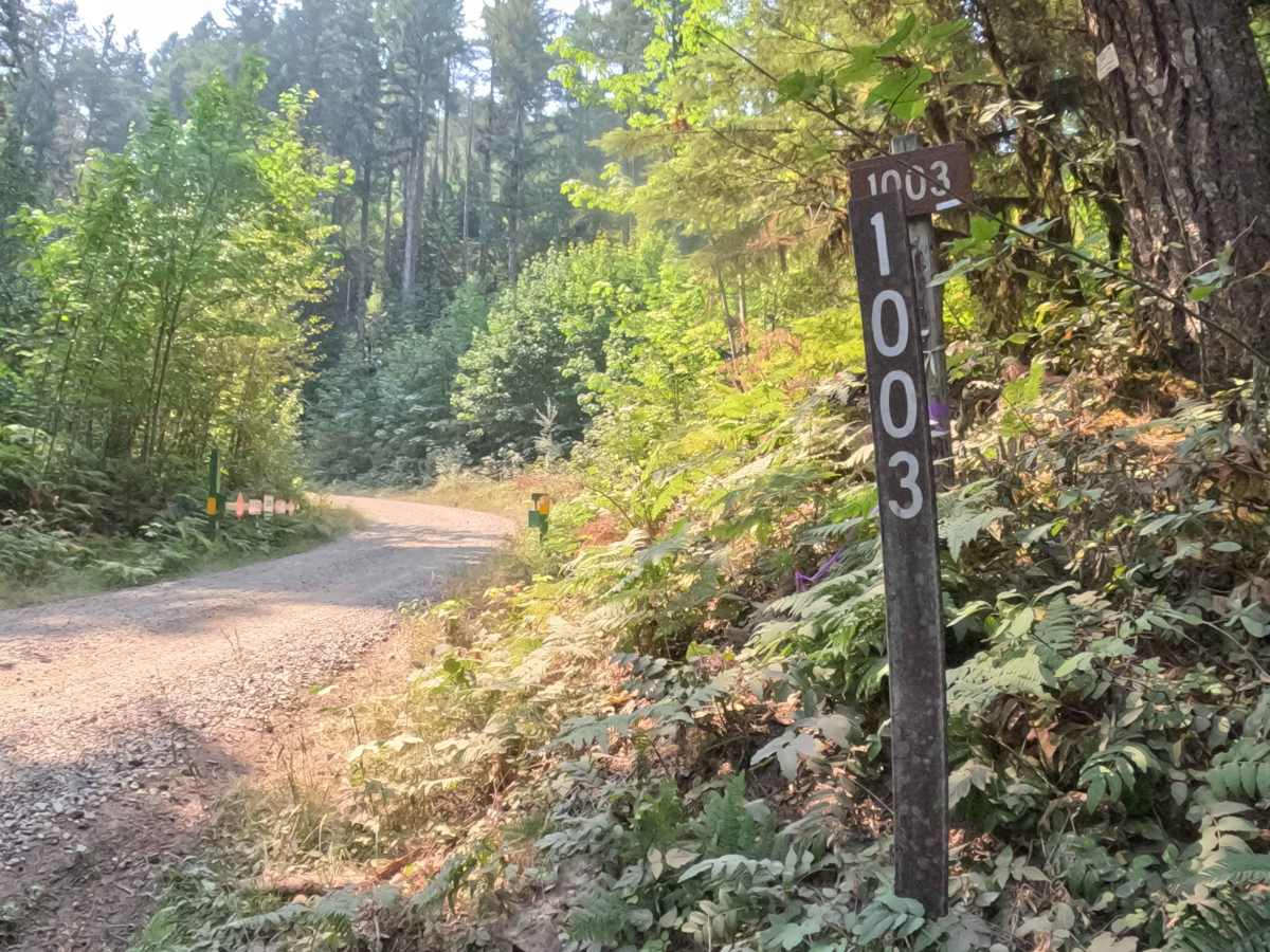 Tom Creek - FS 1003000 trail photo