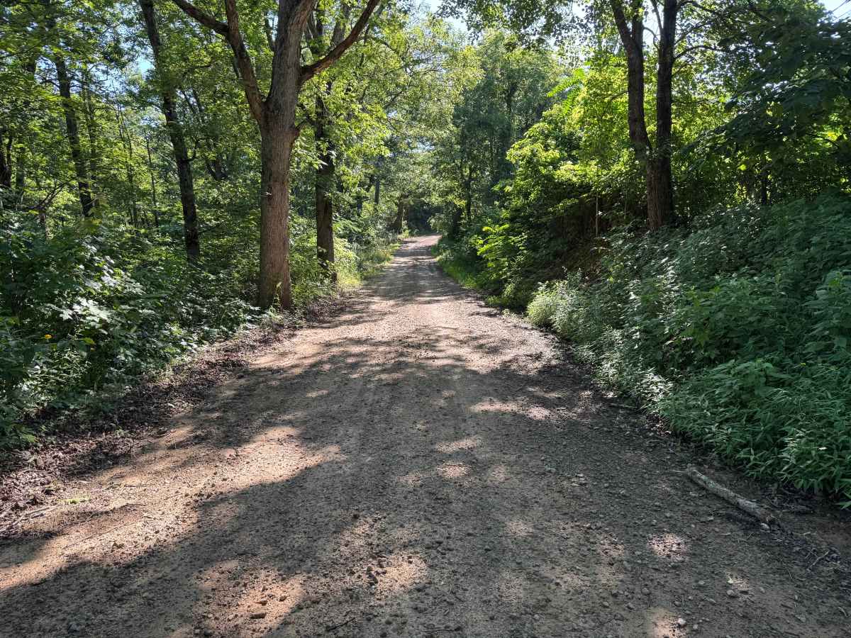 County Road 1465 photo 2