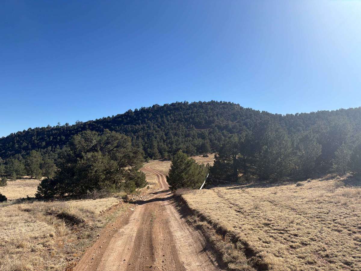 Garza Trail - BLM 5830B photo 3