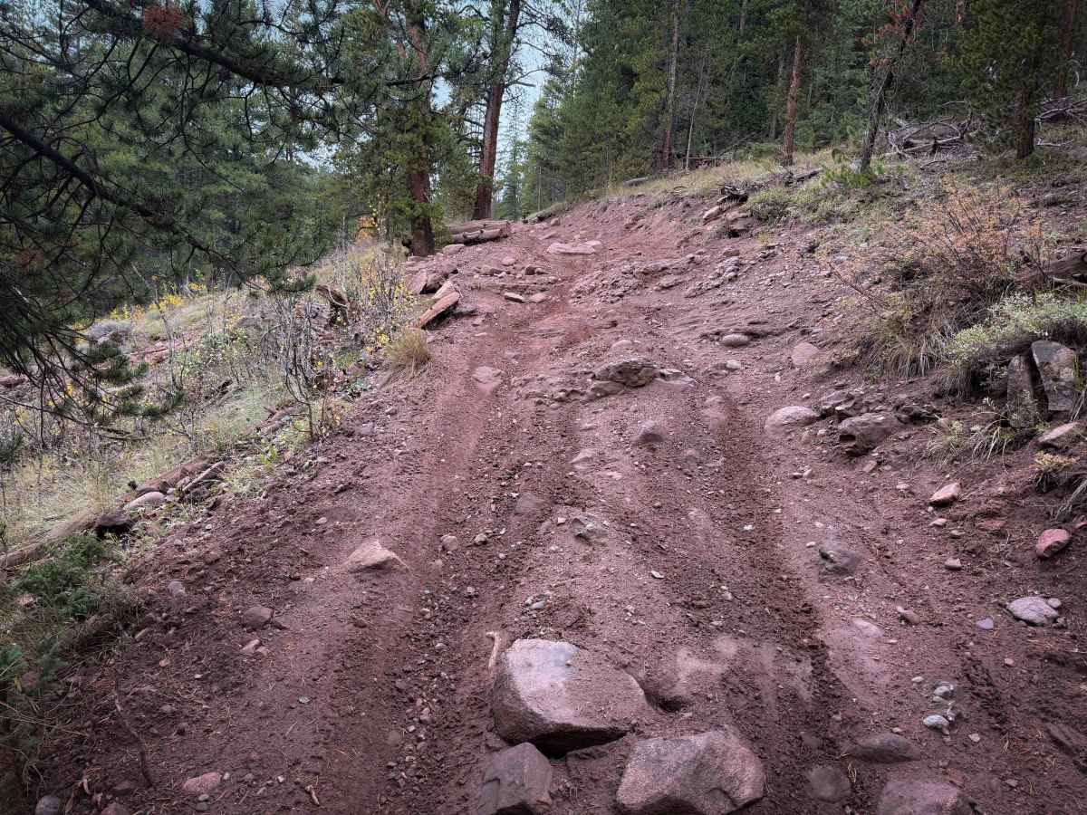 Bear Creek Trail North - FS 415 photo 5