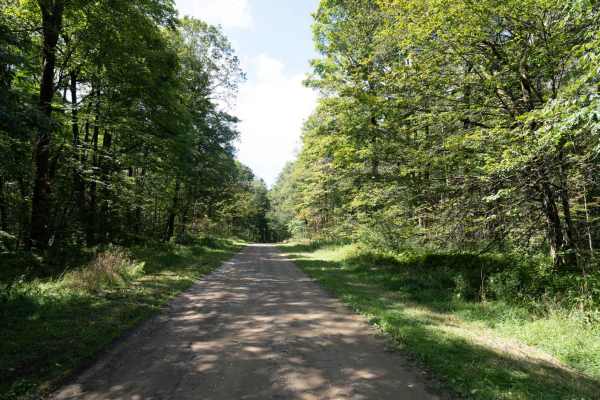 Ridge Run Road