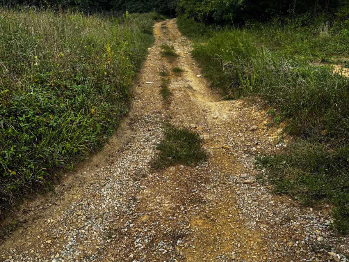 JC Trail 2 photo 3