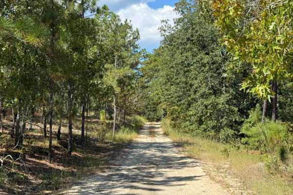 Naked Creek Lane
