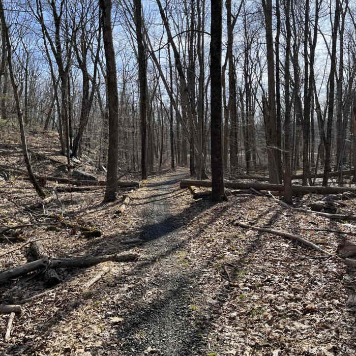 Near Beach Glen Loop via Wildcat Ridge Near Beach Glen Loop via Wildcat Ridge