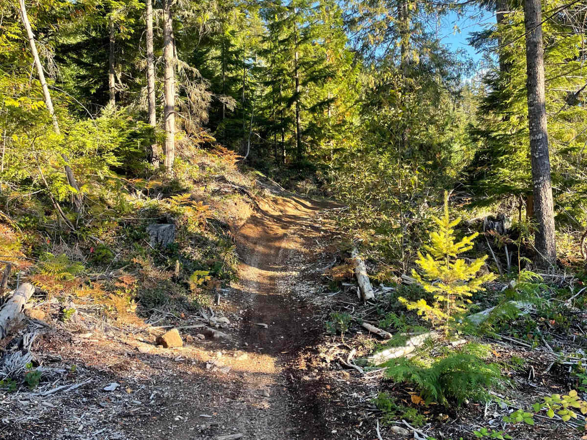 Deep Woods Part 2 photo 6