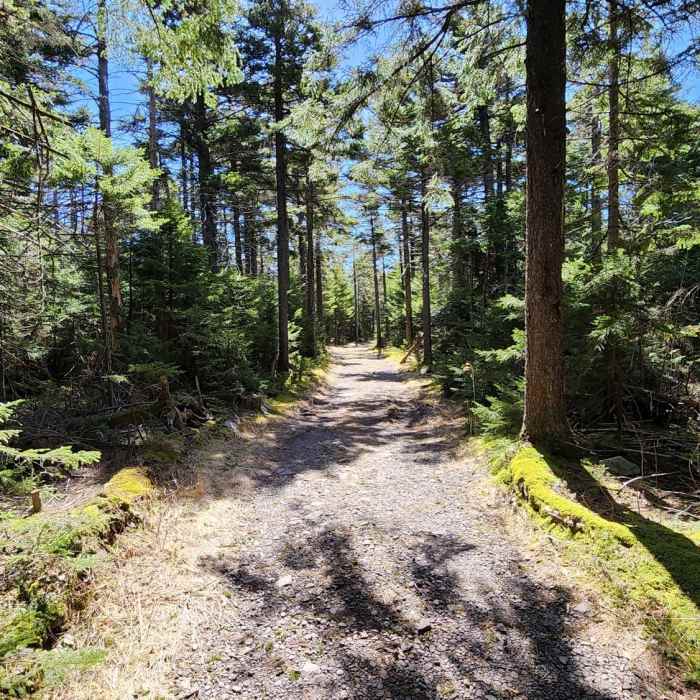 Near Hunter Mountain Loop