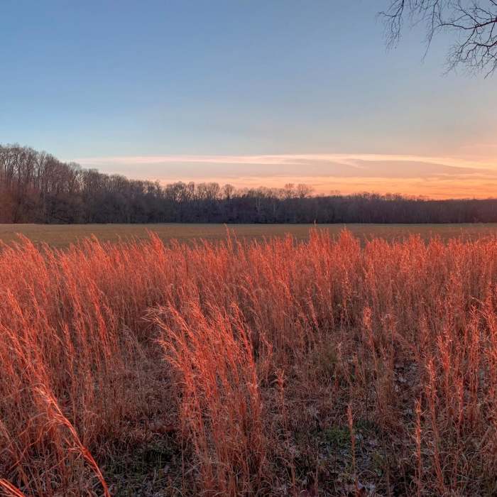 Near North-South National Scenic Trail Near North-South National Scenic Trail