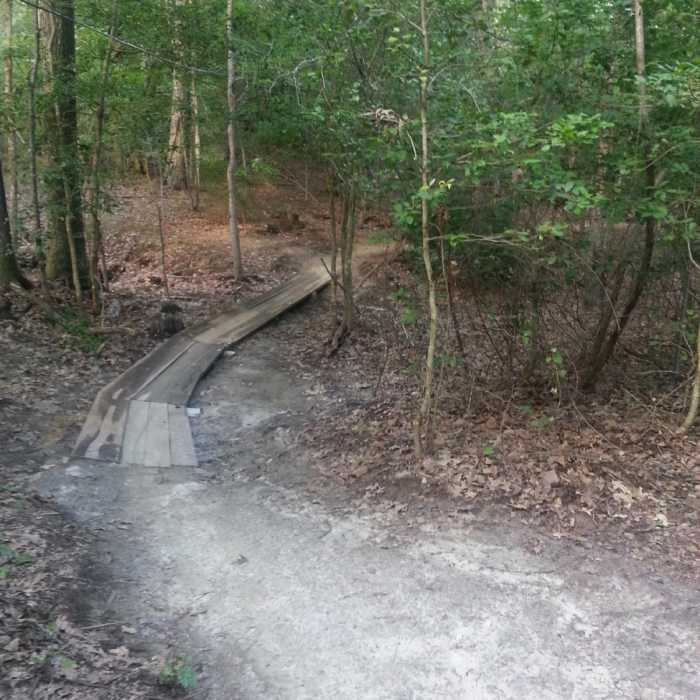 Near Harbison Long Loop