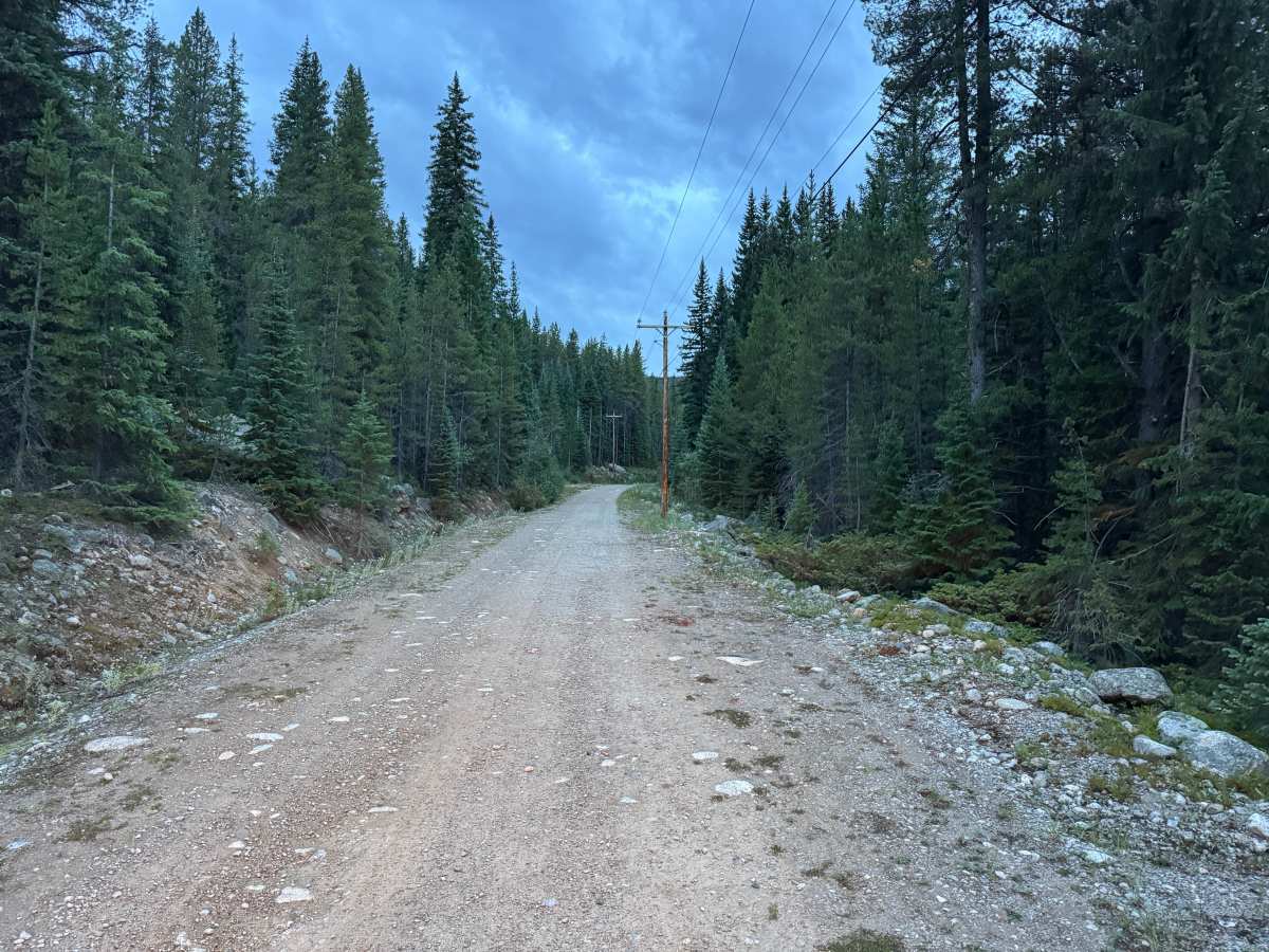 Chapman Gulch Road photo 3