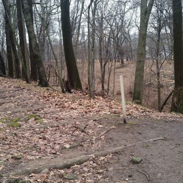 Near Chapel Trail