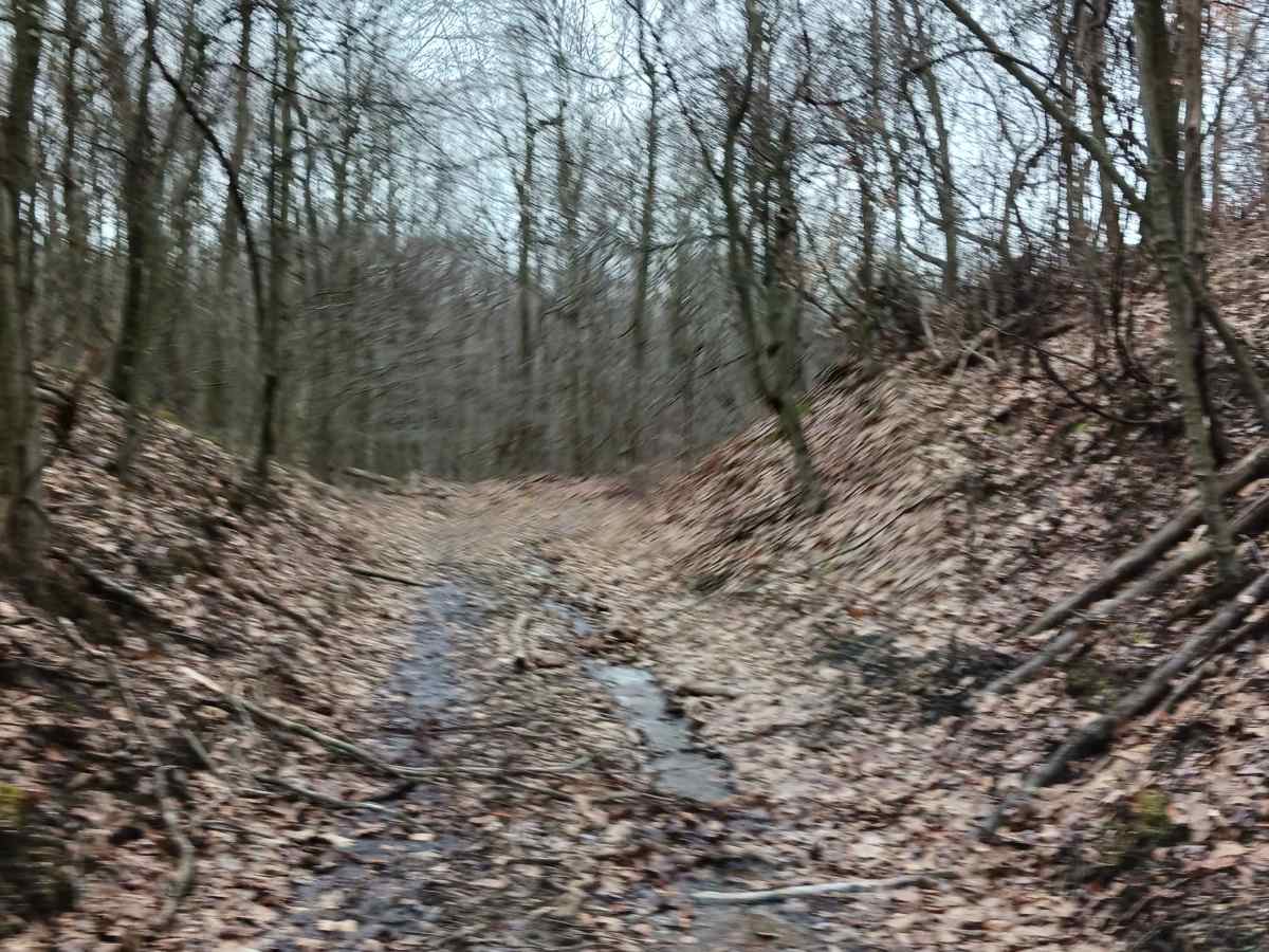 Trail 4D - Rock Run Recreation Area photo 3