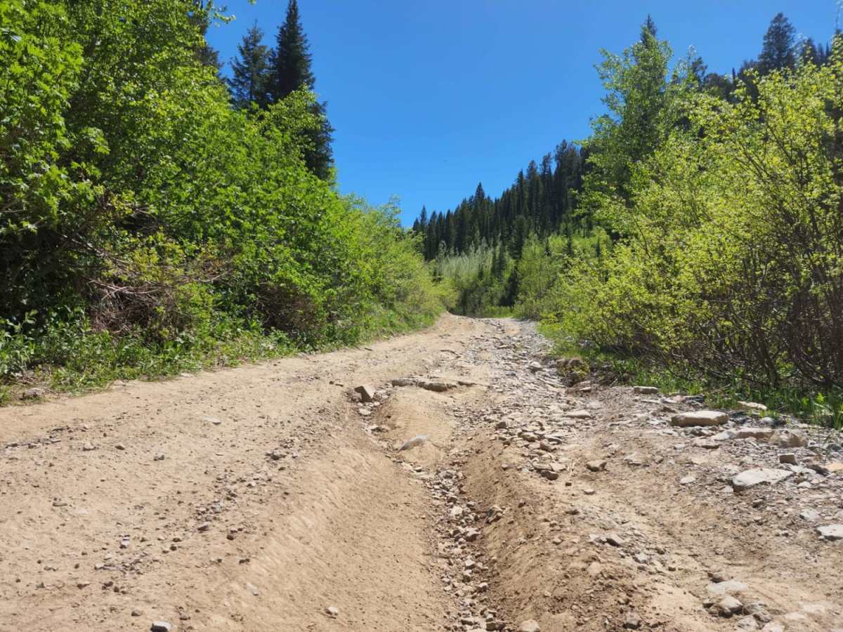 Franklin Basin Idaho Section photo 5