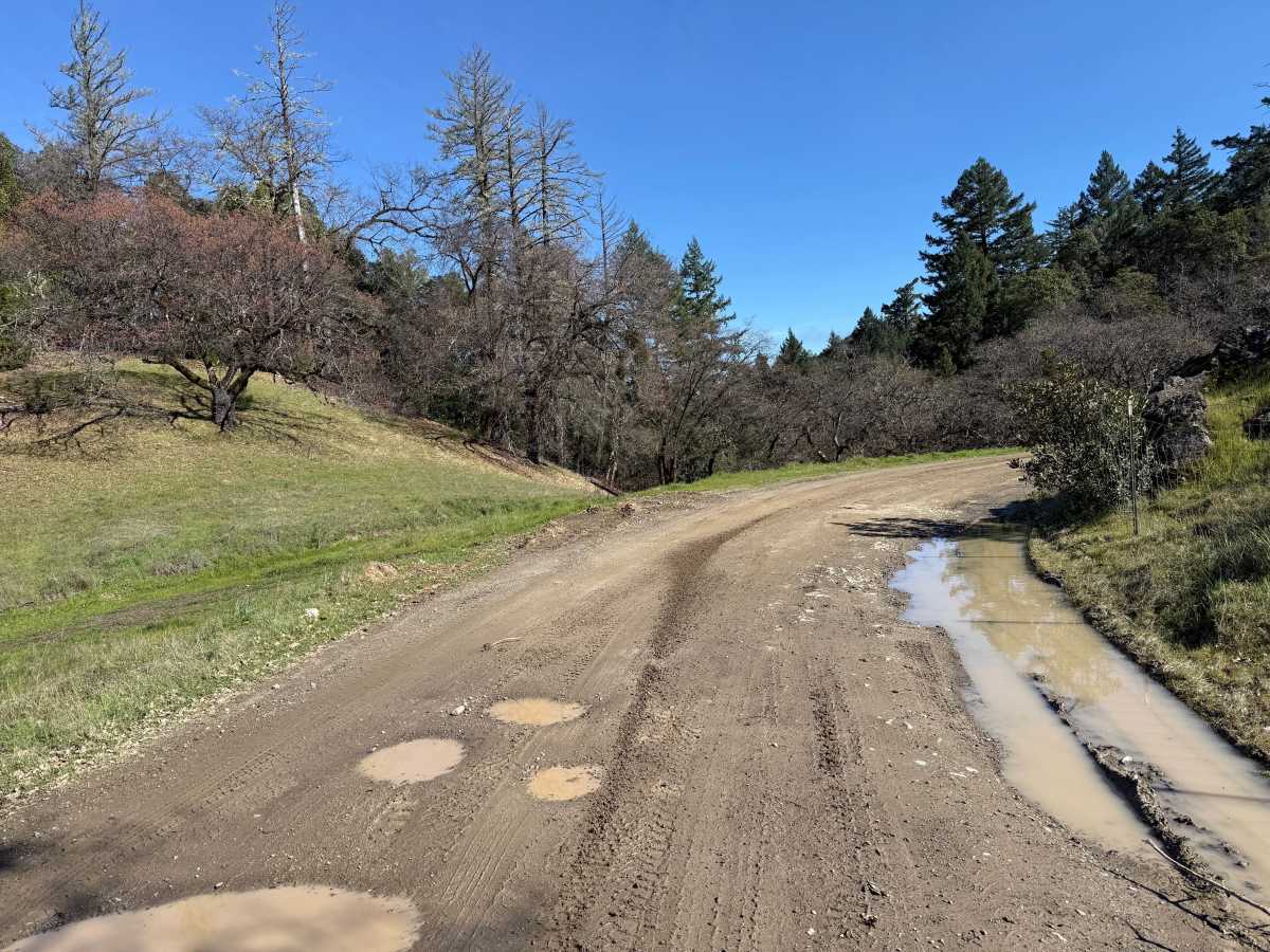 Low Gap Road photo 2