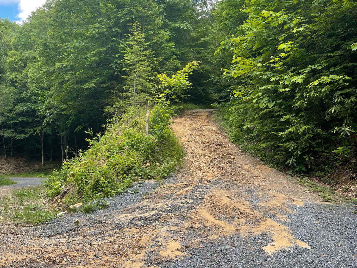 Flat Top  trail photo