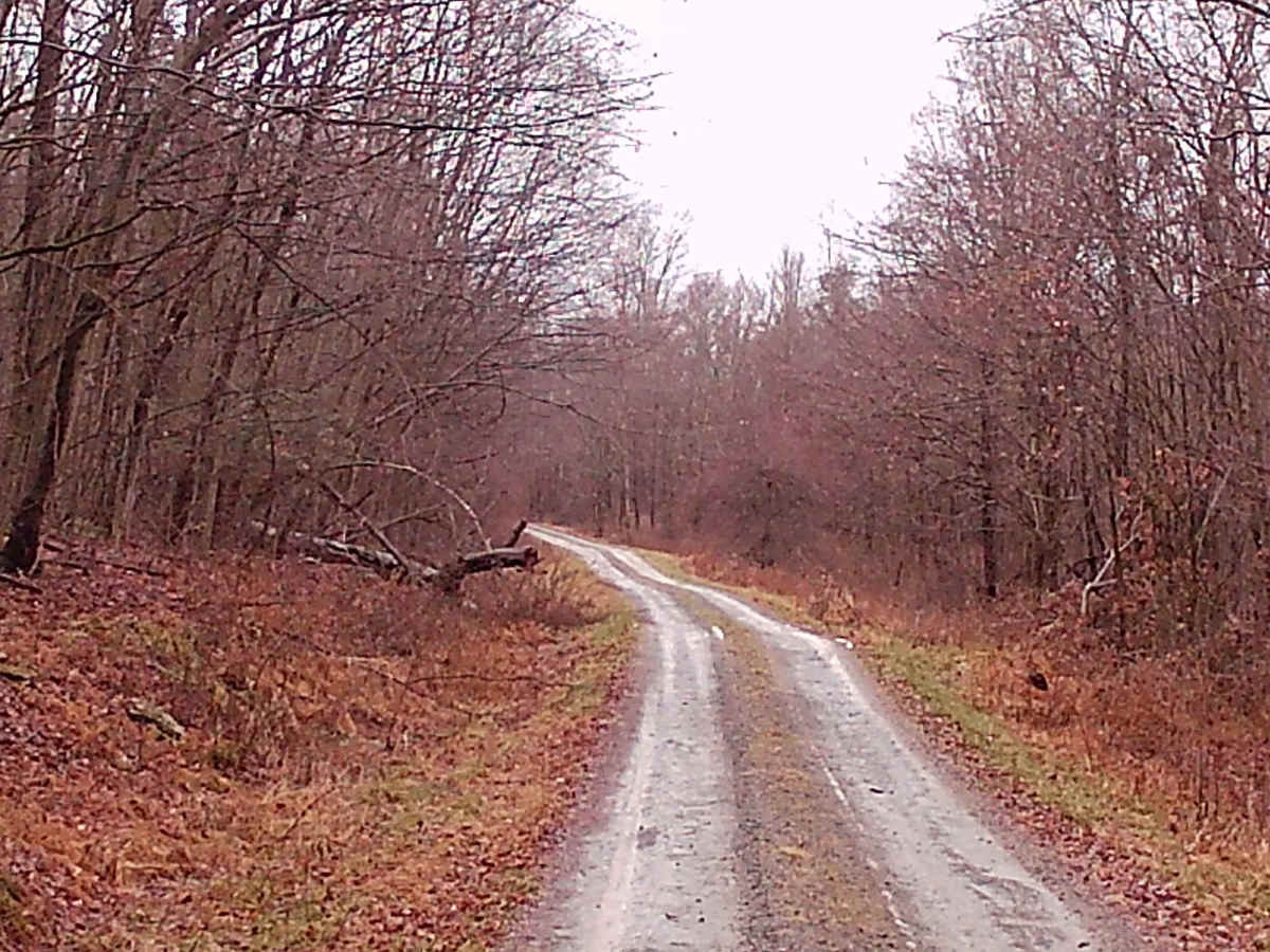 Camp Mountain Road photo 4