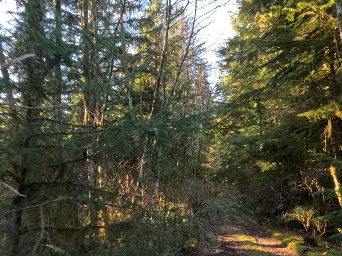 Miles Mountain photo 4