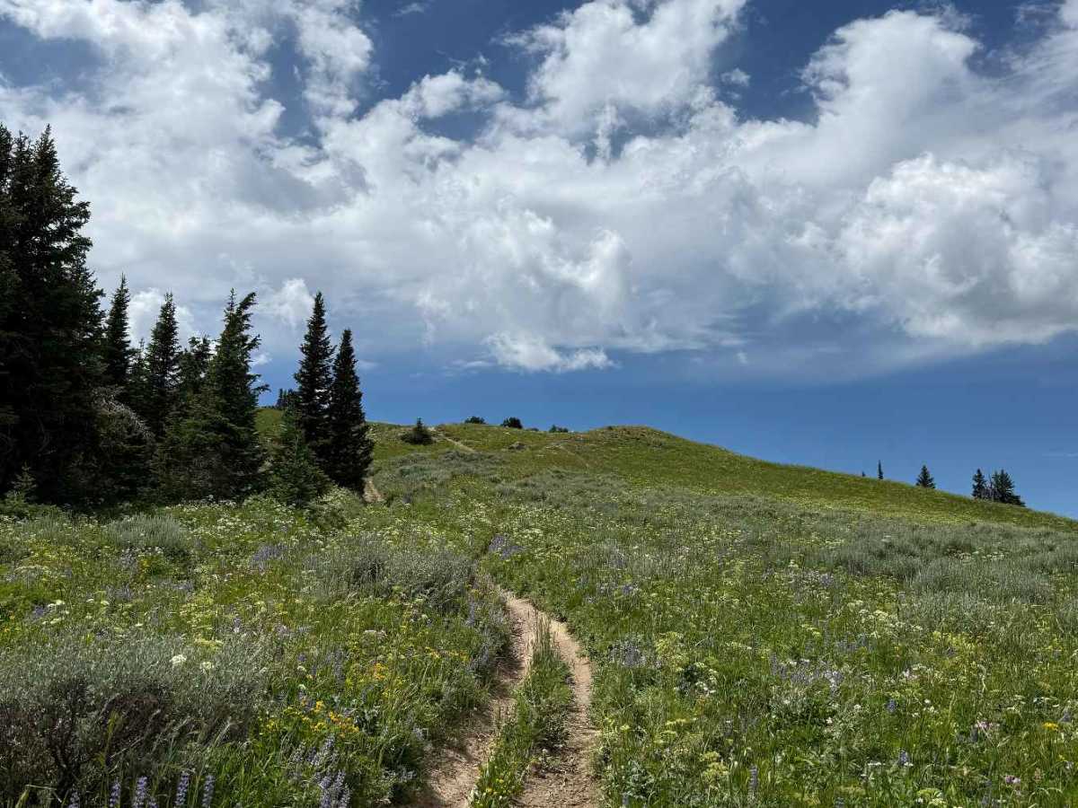 Garnes Mountain photo 4