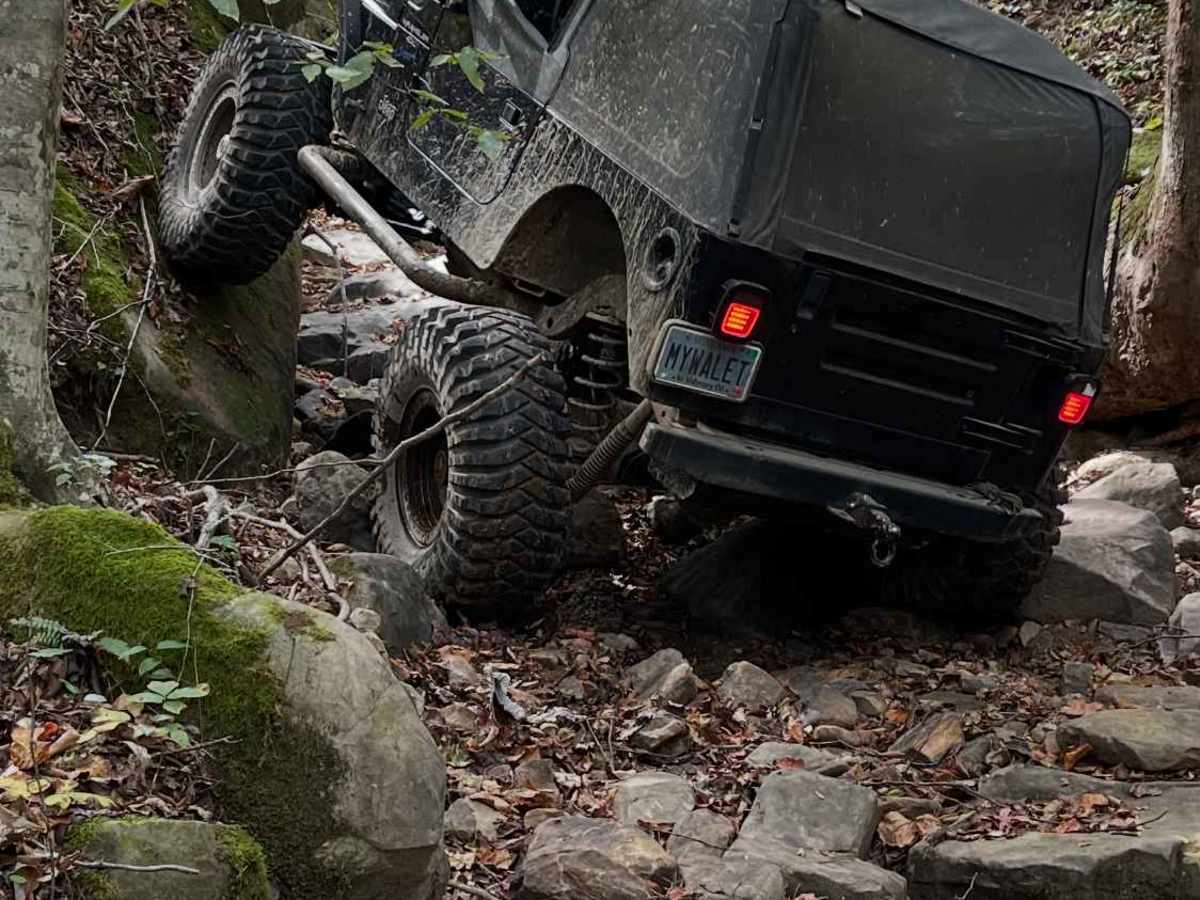 Wrong Turn photo 3