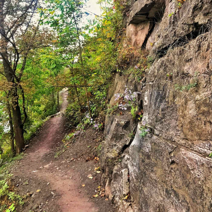 Fall colors Near Niagara Scenic Parkway