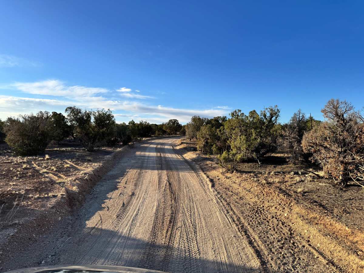 BLM 626 photo 3