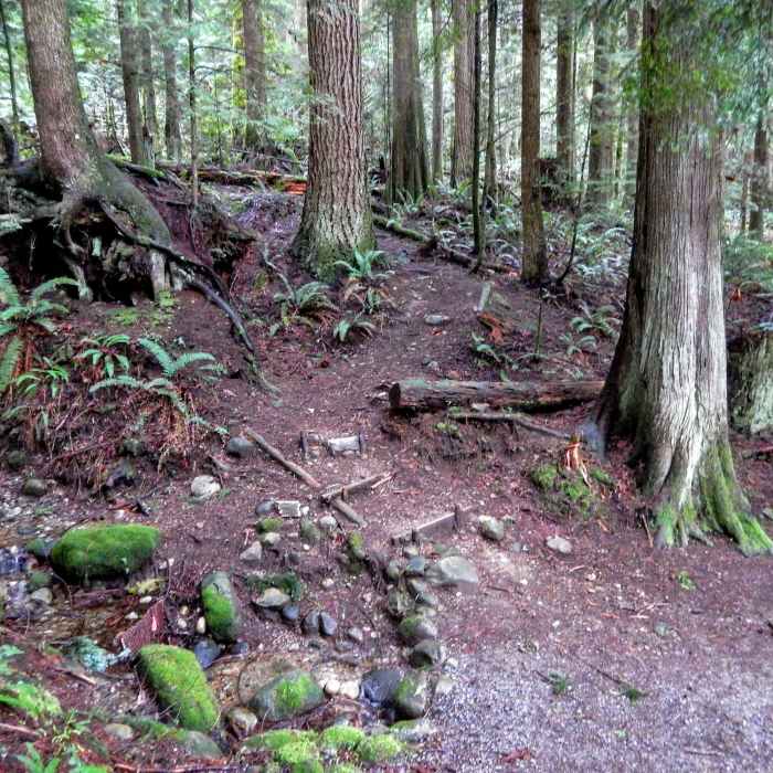 Near Thornhill Trail