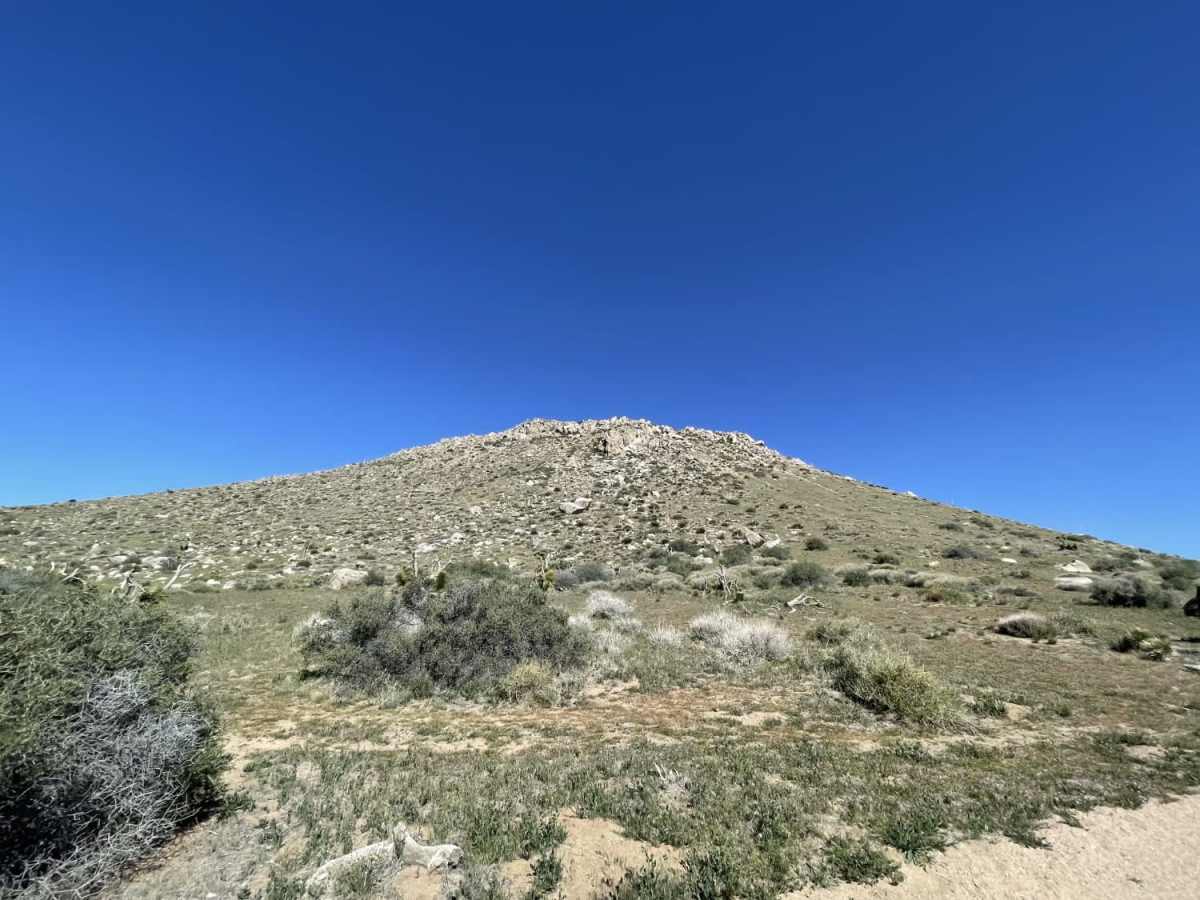 Round Mountain trail photo
