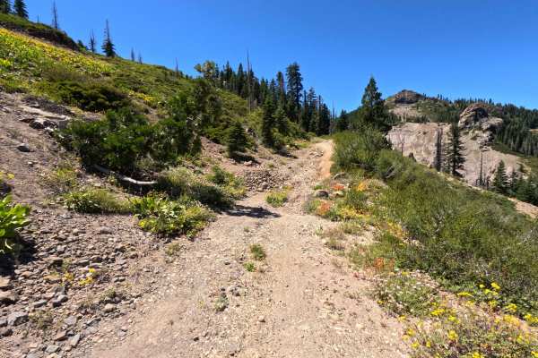 Fir Cap Road