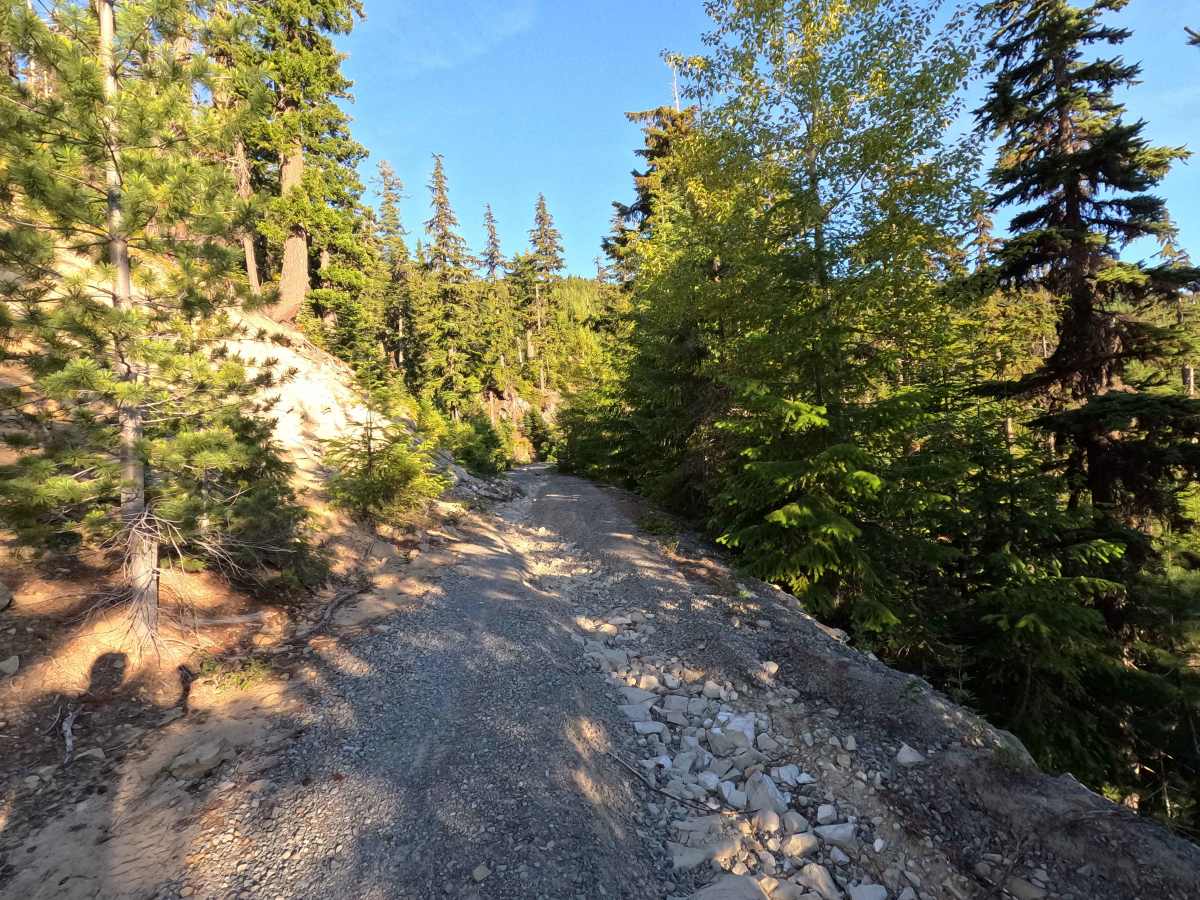 No Name Basin - FS 4617 photo 6