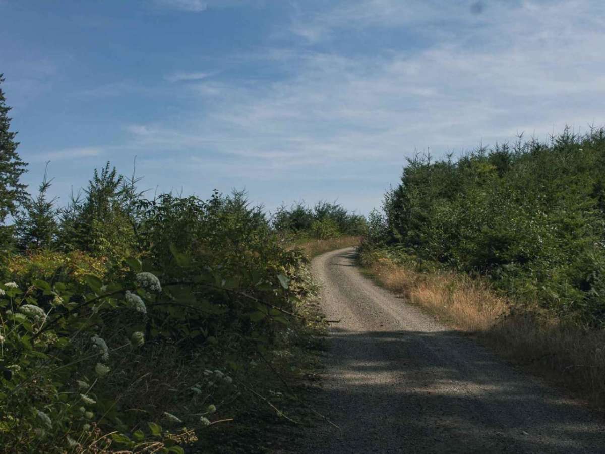 Bull Run photo 2