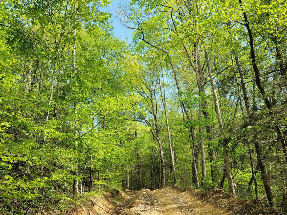 Trail 27 -  Kener Gap photo 5